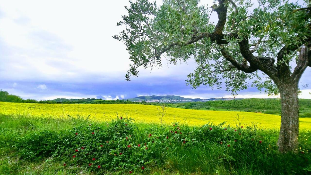 Agriturismo Casa Rossa Chianciano Terme Dış mekan fotoğraf