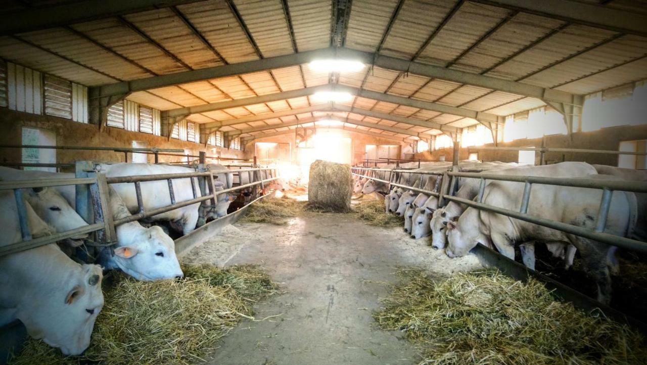 Agriturismo Casa Rossa Chianciano Terme Dış mekan fotoğraf